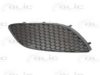 OPEL 13263116 Ventilation Grille, bumper